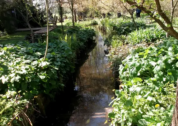 Photo from Westonbury Mill Water Gardens trip on 20th April 2023