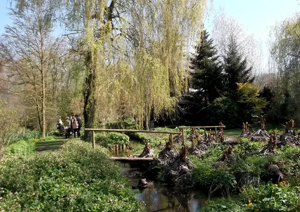 Photo from Westonbury Mill Water Gardens trip on 20th April 2023