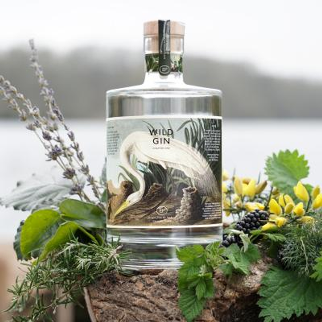 WILD GIN: Chapter One