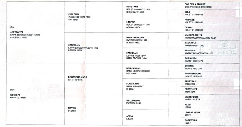 Orezzo Breeding .jpg