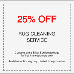25% off professional rug cleaning