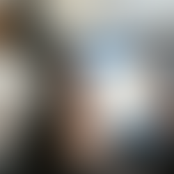 From Stairs to Sections: Plight of the Elderly and Users with Limited Literacy in navigating Contemporary Banking