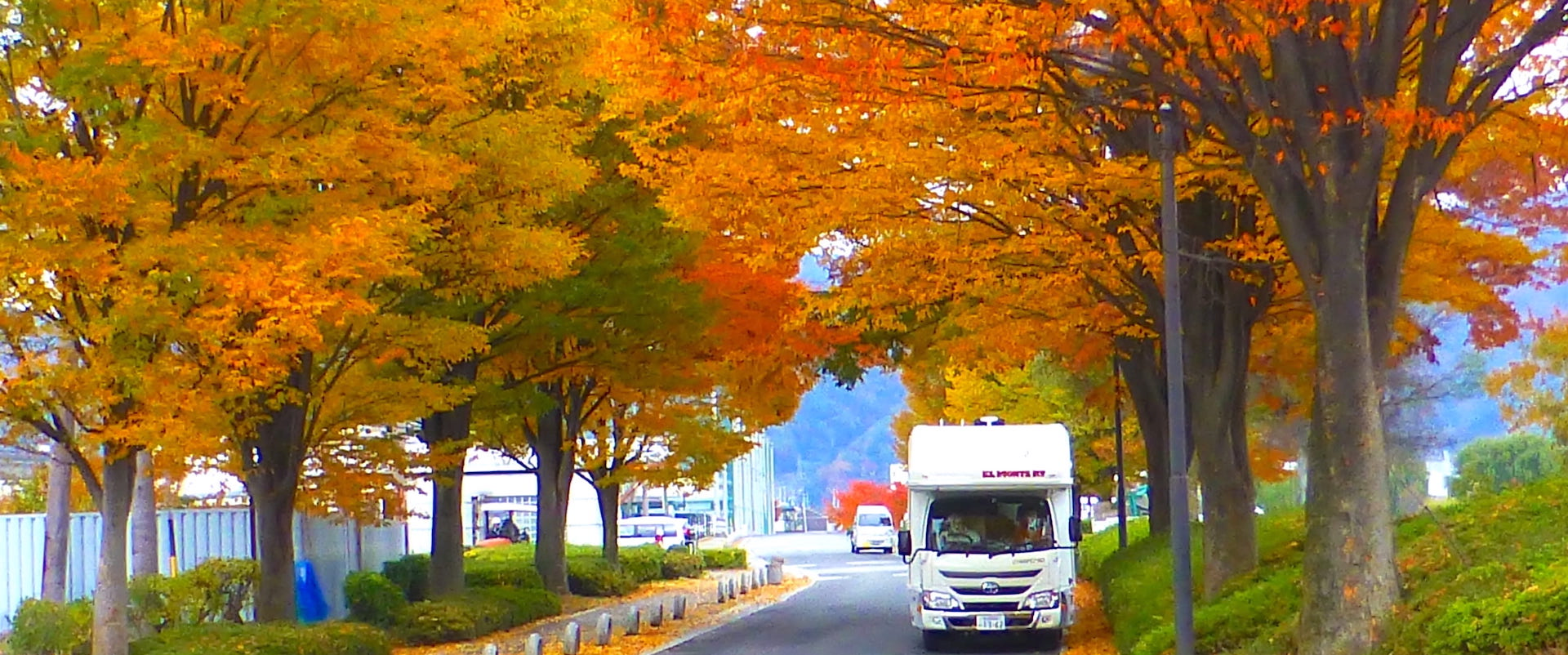 エルモンテ.webp