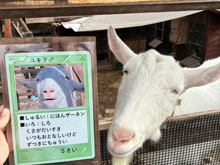 2025年もありがとうございました。