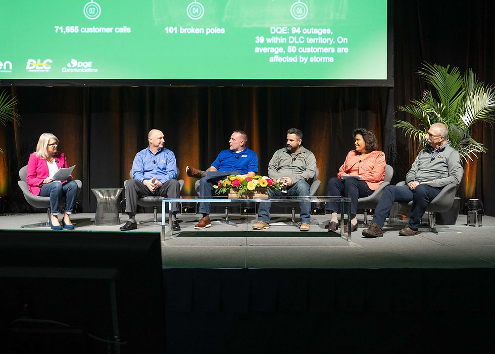 Panel on storm restoration