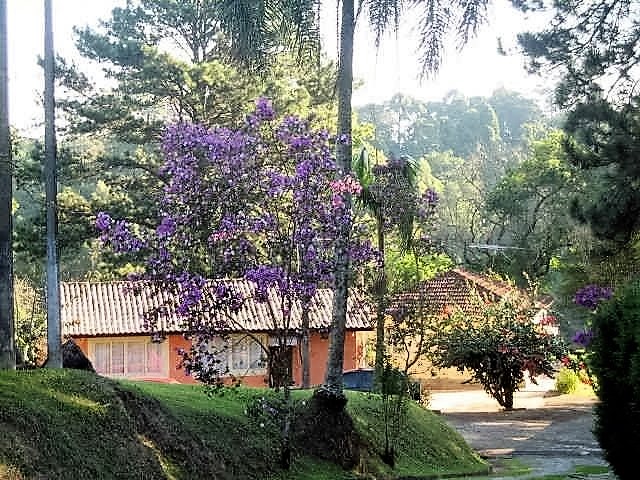 vista das casas