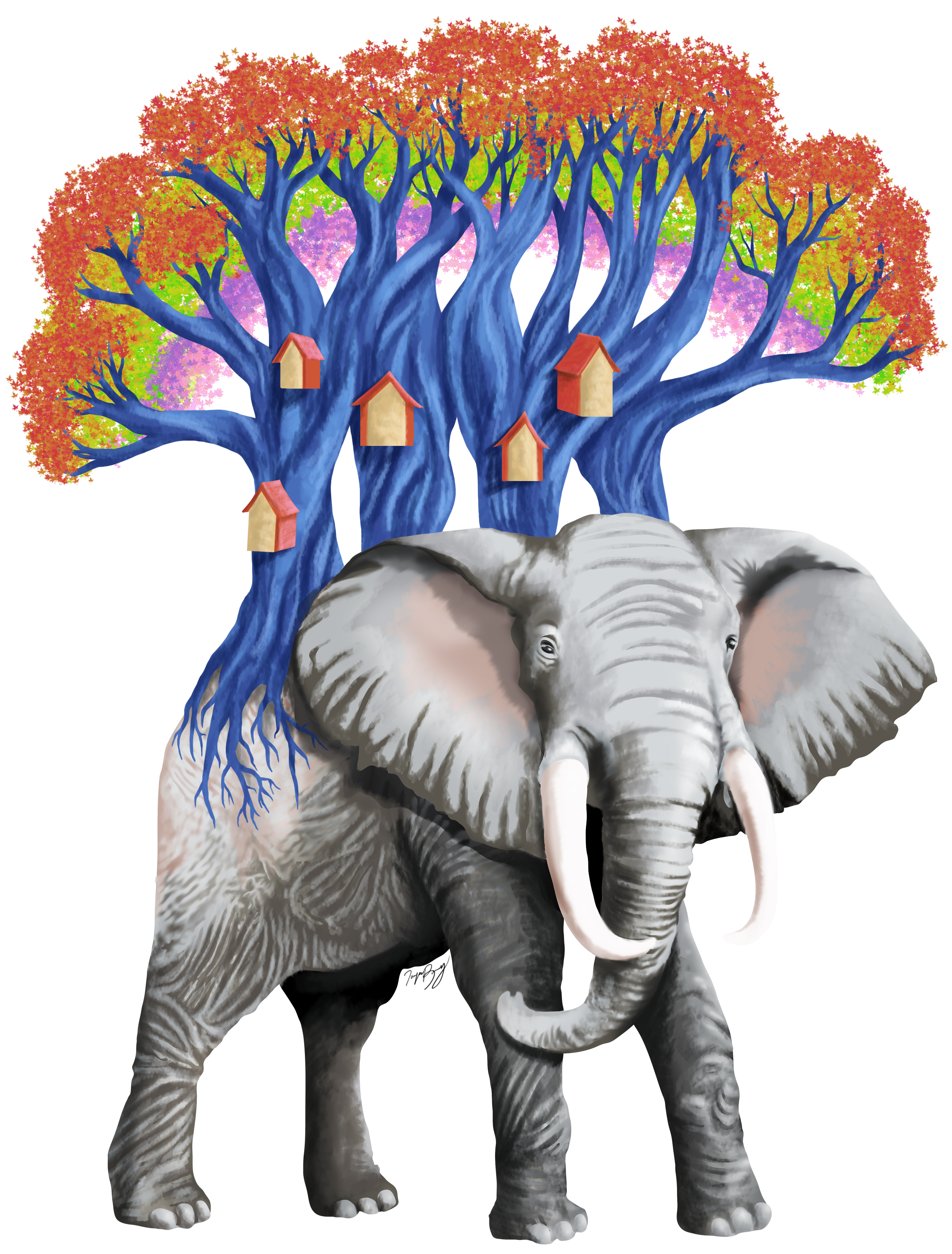 Elephant Village