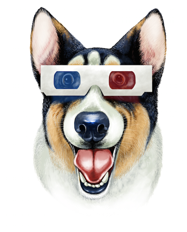 3D Corgi