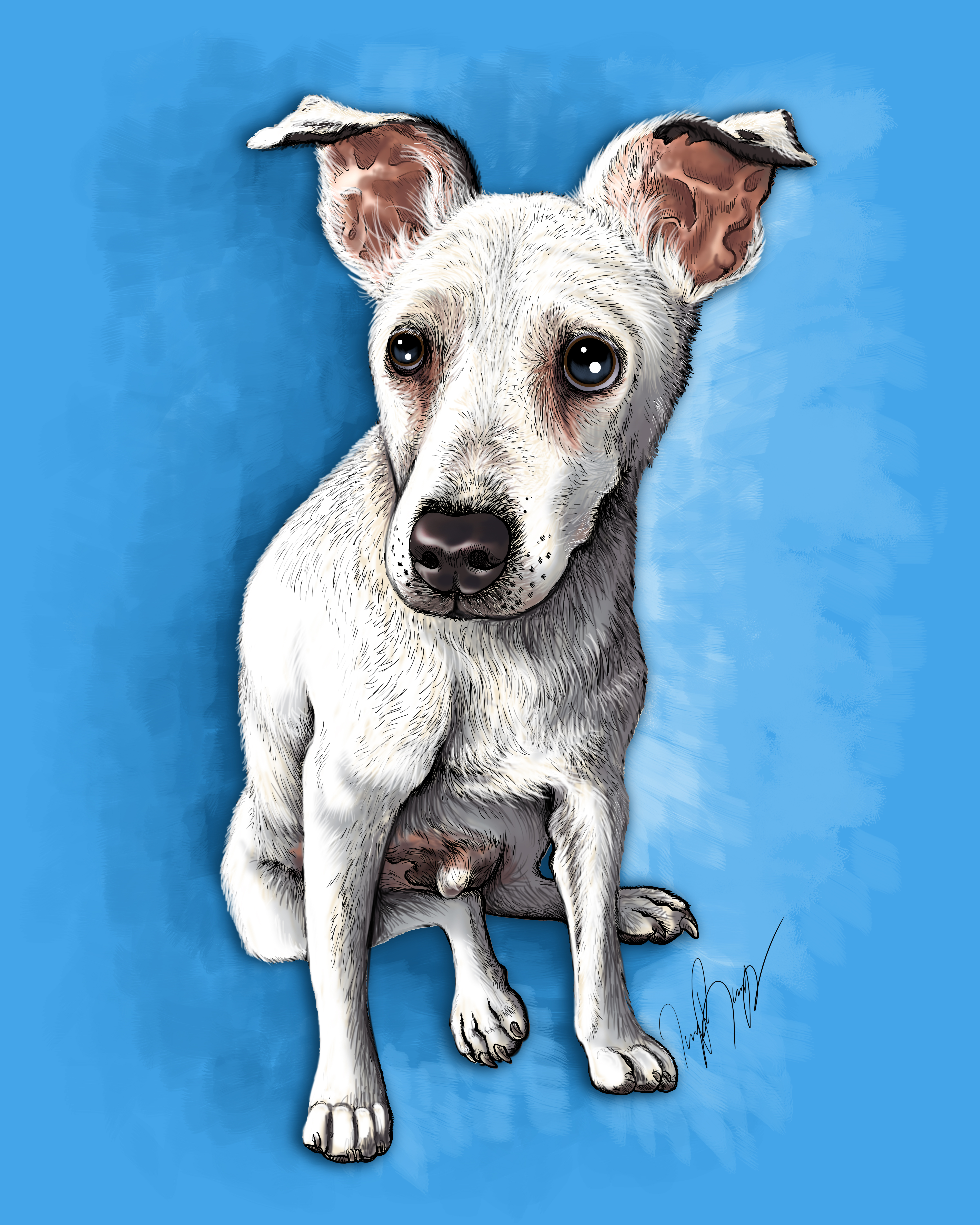 Zeus the Dog Final