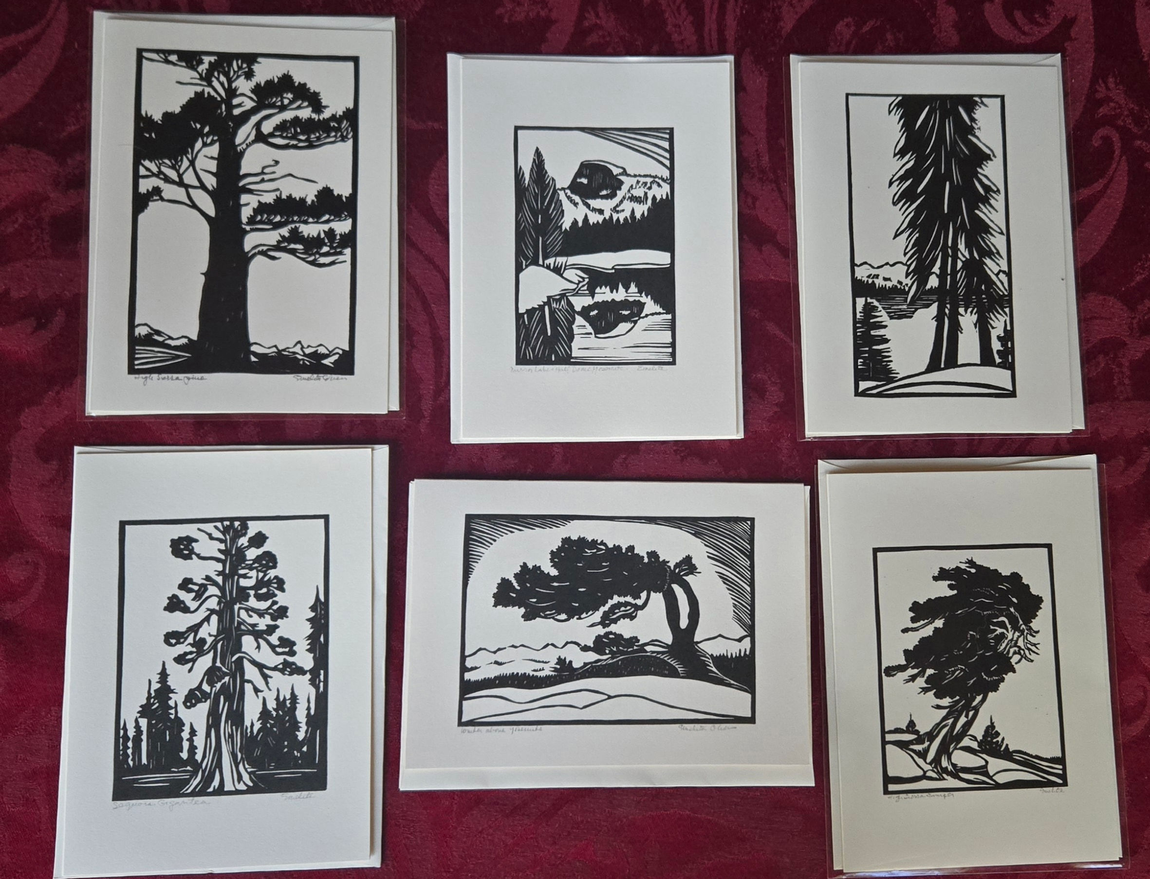 High Sierra Card Collection 2026