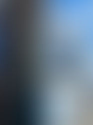 Chicago's Love of Record Stores Never Died