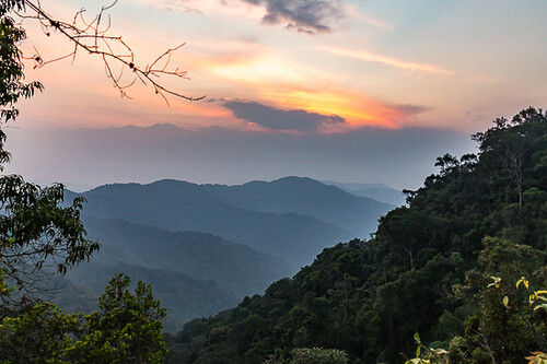 A national park in Rwanda