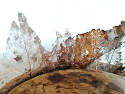 Steffi Wylein_Eco-Art_3