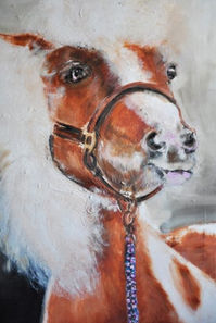 Olieverf schilderij | Kolibrie Art | Steffi Wylein | Waregem