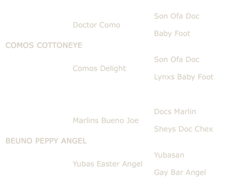 scholarshipfillypedigree copy.png