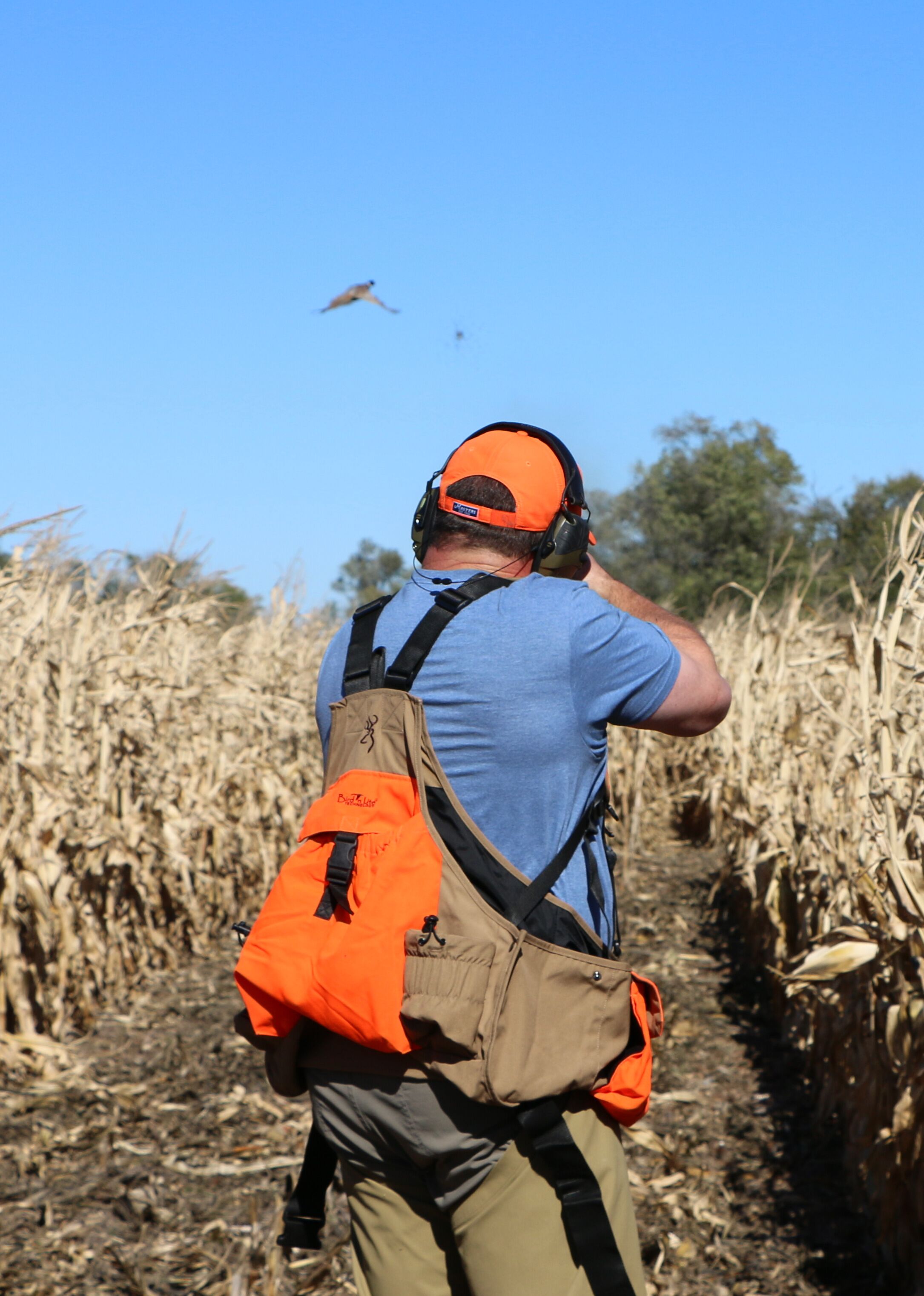 Gallery | pheasantcrest