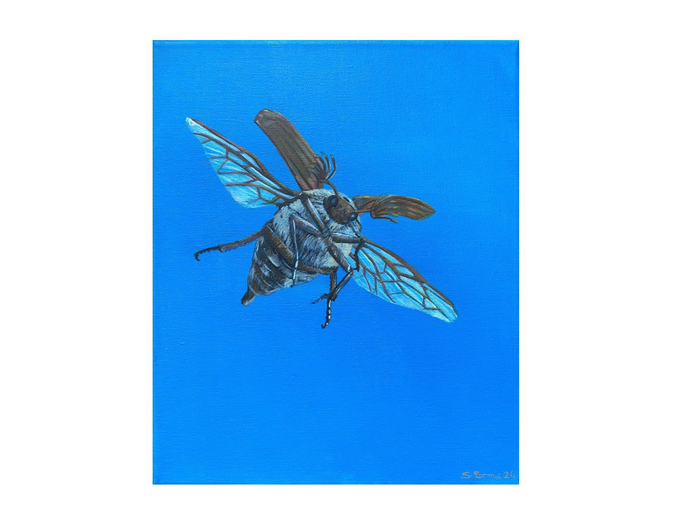 Natures Army - John- June Bug