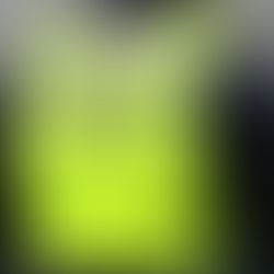 Grundkurs för ordningsvakter ordnas i mars i Tolkis