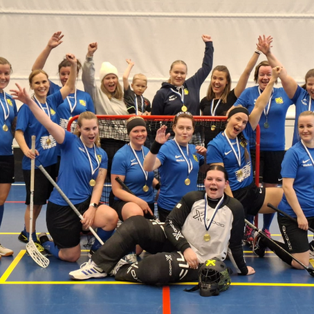 Damerna vann bolagsinnebandyn, herrarna blev femte 
