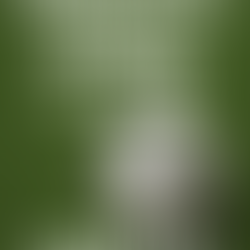 Damerna till final i bolagsfotisen! - Naiset puulaakifutiksen finaaliin!