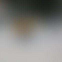 Tolkis Winter Classic järjestetään 5.2.2022! - Tolkis Winter Classic ordnas 5.2.2022!