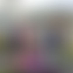 Gifta mot ogifta var damernas sista fotismatch för säsongen