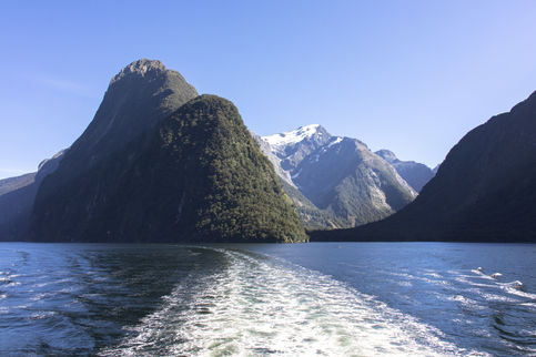 Blick vom Boot auf steile bewaldete Berge und schneebedeckte Gipfel bei einer Tour durch den Milford Sound