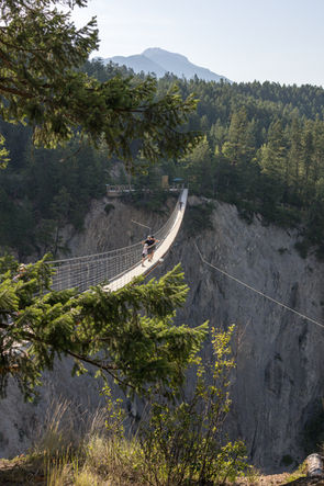 Golden Skybridge schwebt über bewaldeter Schlucht, eingerahmt von Tannen und steilen Felswänden