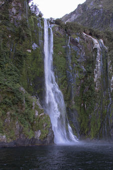 Mächtiger Wasserfall stürzt über moosbewachsene Felsen in den Milford Sound im Fiordland Nationalpark.