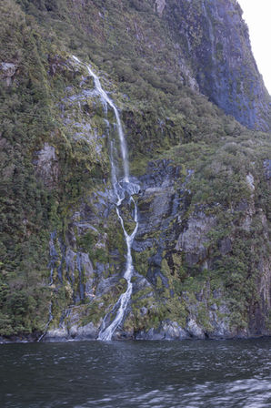 Schmaler Wasserfall fließt über eine bewachsene Felswand direkt in den Milford Sound in Neuseeland.