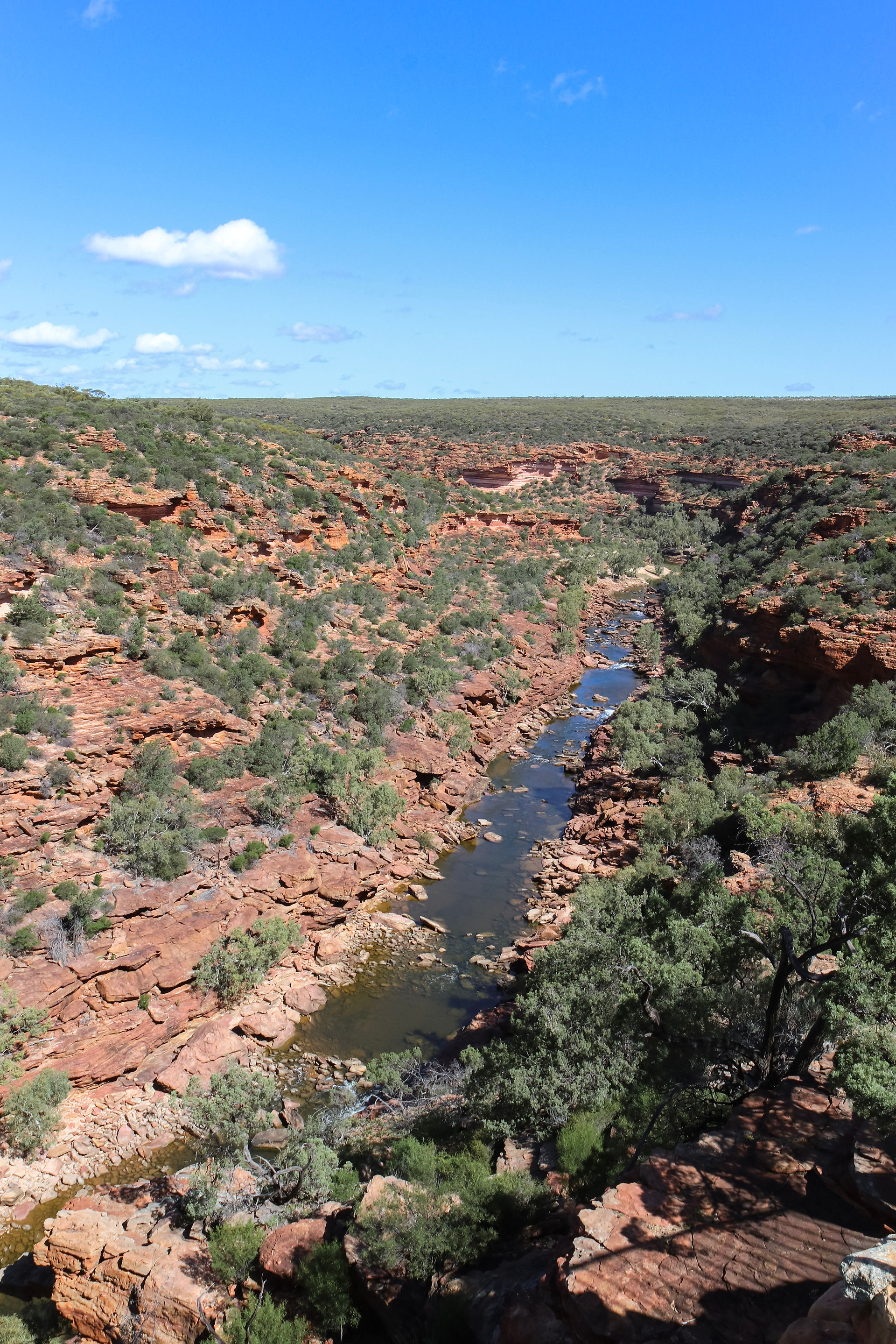 Z-Bend Lookout