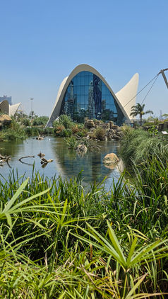 Moderne Architektur des Oceanogràfic Valencia hinter einer grünen Wasserlandschaft mit Felsen und üppiger Vegetation.