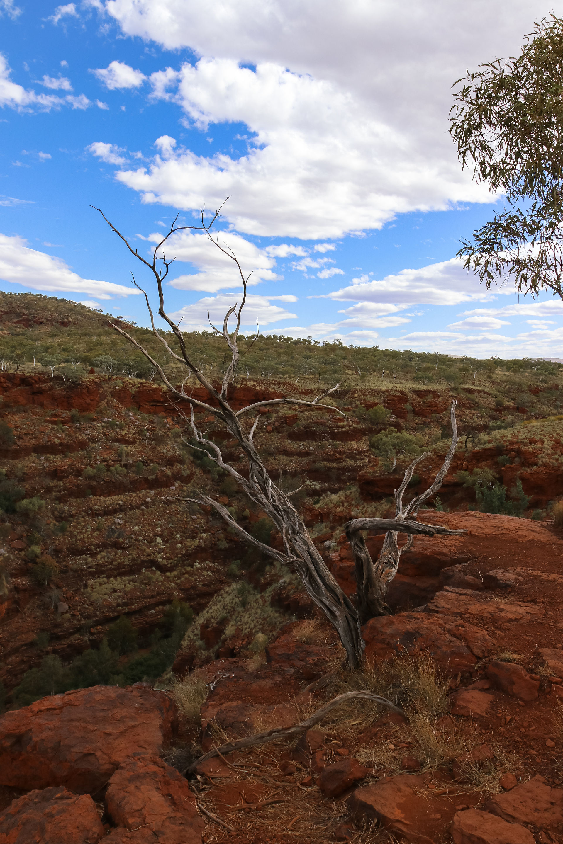 Dales Gorge