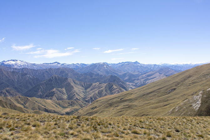 Panorama der Bergwelt rund um den Ben Lomond Track mit schroffen Gipfeln unter blauem Himmel