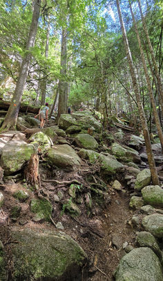 Felsenreicher Aufstieg im Stawamus Chief Provincial Park – steiler Trail mit Wurzeln und großen Granitblöcken.