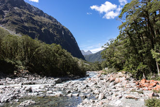 Klarer Gebirgsbach bei Monkey Creek zwischen Felsen und dichtem Wald im Fiordland Nationalpark in Neuseeland