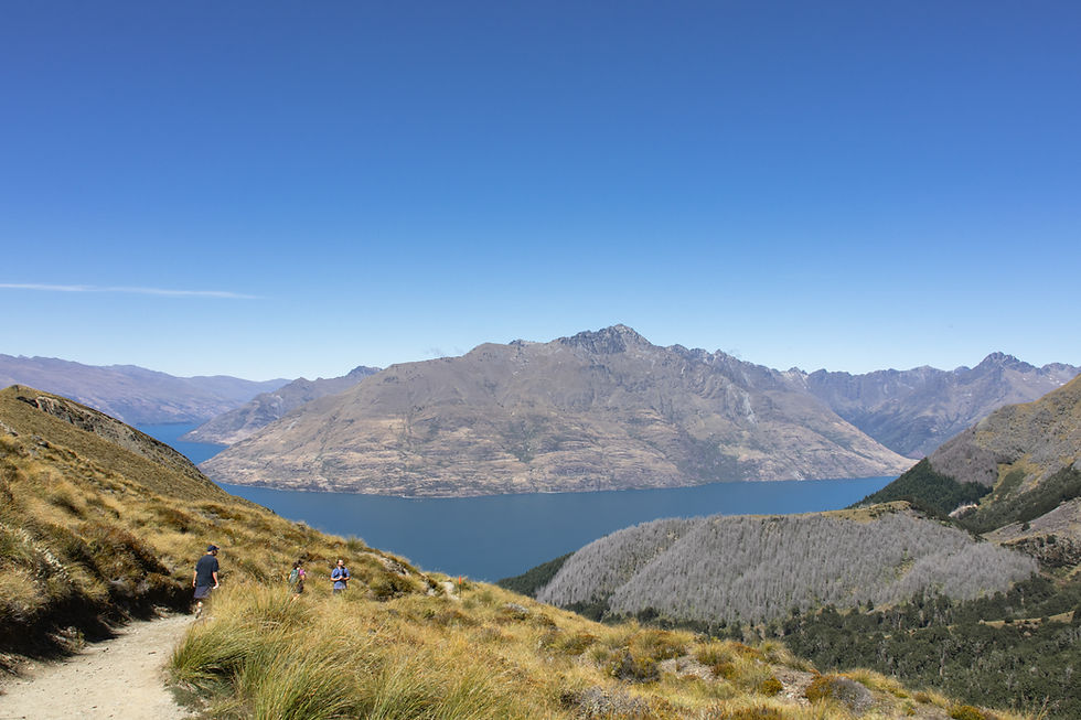 Wanderweg zum Ben Lomond mit traumhaftem Blick auf den Lake Wakatipu und die Berge rund um Queenstown