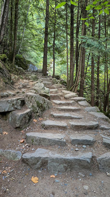 Steintreppen auf dem Trail im Stawamus Chief Provincial Park bei Squamish – Aufstieg durch dichten Wald.