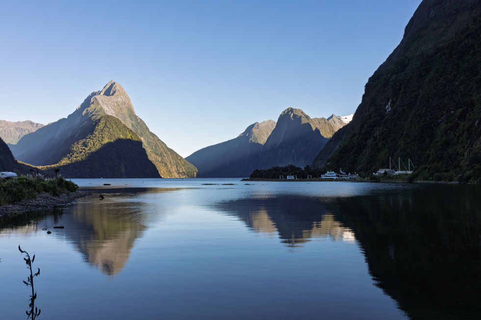 Blick über den ruhigen Milford Sound auf die steilen Berge bei klarem Himmel im Fiordland Nationalpark.