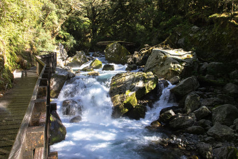 Tosender Gebirgsbach mit großen Felsen neben dem Holzsteg am Lake Marian Track im Fiordland Nationalpark.