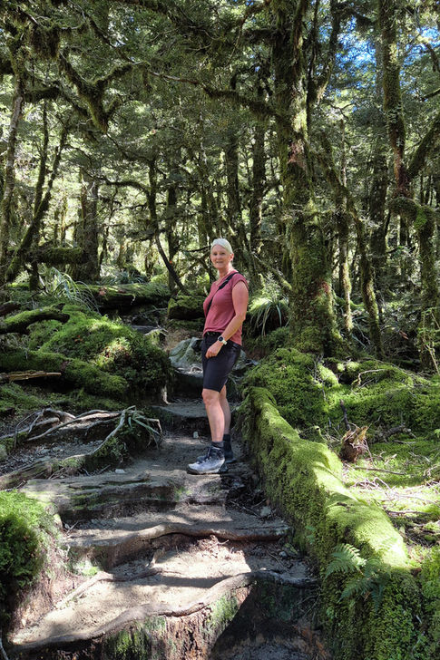 Wanderin auf dem anspruchsvollen Lake Marian Track zwischen moosbewachsenen Bäumen im Fiordland Nationalpark.
