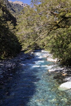 Türkisblauer Hollyford River zwischen Felsen und dichtem Regenwald am Lake Marian Track im Fiordland.