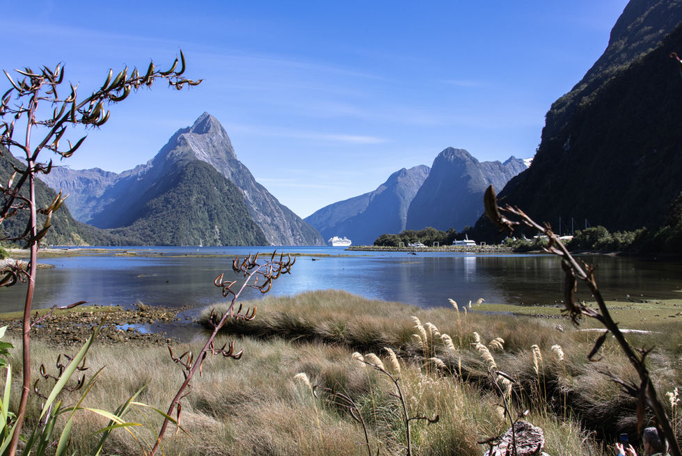 Milford Sound mit markanter Bergkulisse, ruhigem Wasser und Kreuzfahrtschiff zwischen Ufervegetation