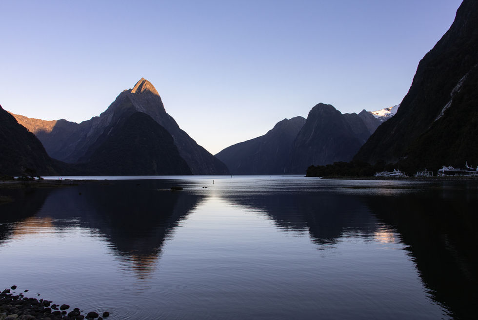 Früher Morgen am Milford Sound mit ruhigem Wasser und beeindruckender Bergkulisse im Fiordland Nationalpark.