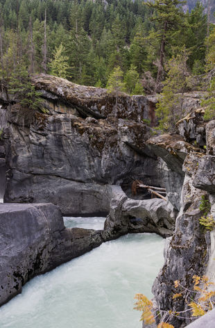 Blick auf den türkisgrünen Green River, der sich durch dichte Wälder schlängelt – Beginn unserer Wanderung zu den Nairn Falls.