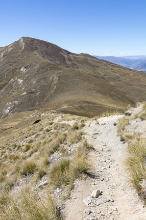 Schmaler felsiger Wanderweg am Ben Lomond mit Blick auf den weiteren Aufstieg durch die Tussocklandschaft
