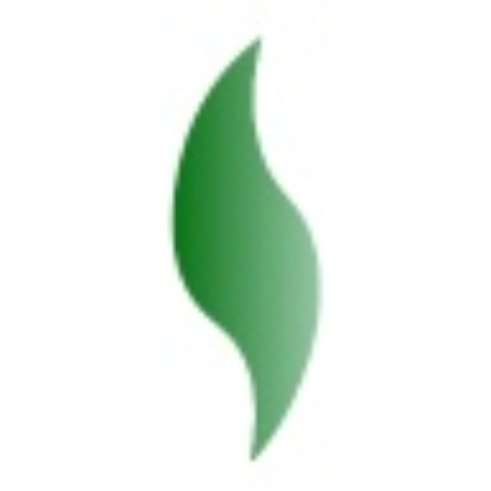 TYS Logomark Leaf