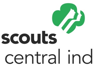 New Girl Scout Badges Power Girl Leadership