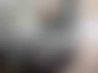 Professional biweekly home cleaning services