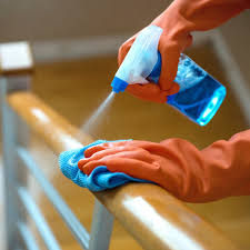 Flu Season Doesn’t Stand a Chance Against a Sparkling Home